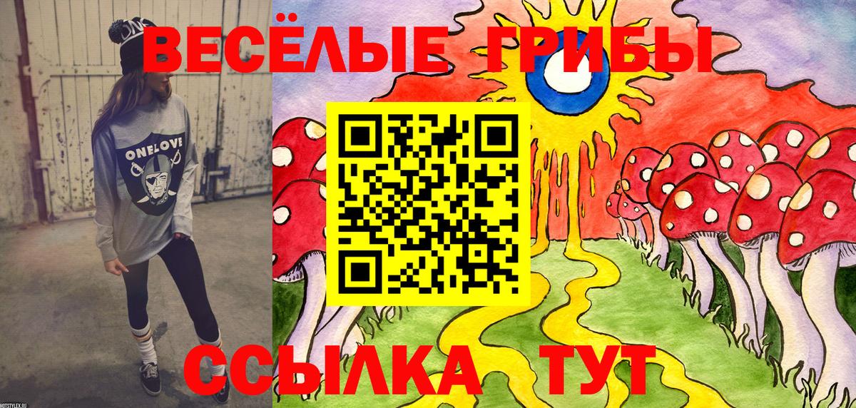 Галлюциногенные грибы мухоморы  Псилоцибиновые грибы мухоморы  Котлас  Вход с VPN 
